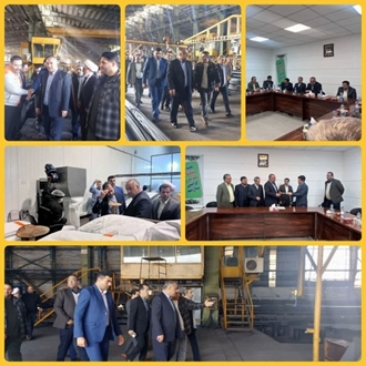 بازدید رئیس کل دادگستری استان گلستان از شهرک صنعتی بندرگز 